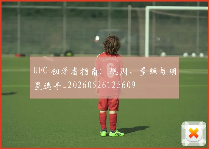UFC 初学者指南：规则、量级与明星选手_20260526125609