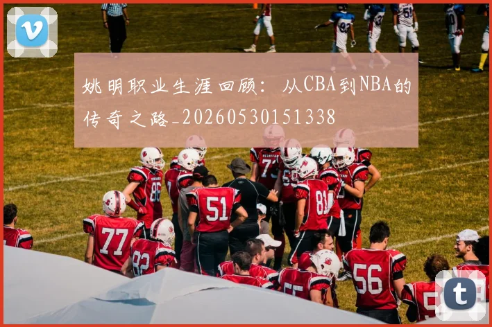 姚明职业生涯回顾:从CBA到NBA的传奇之路_20260530151338